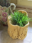 Natural Sea Sponge Vase, Medium