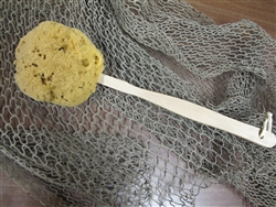 Natural Yellow Sea Sponge on a Stick