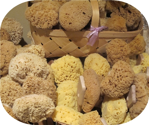 Multi-purpose Greek Sponge For Gentle Bathing And Cleaning Natural Sea  Sponges For Bathing